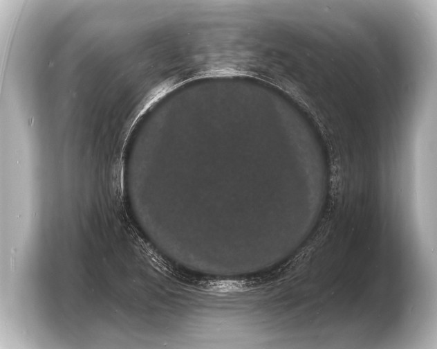 X0000103971173200810031218