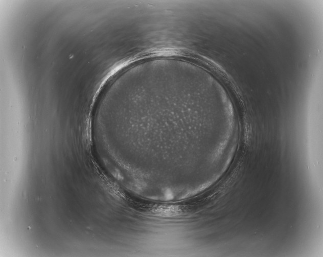 X0000103971174200810031218