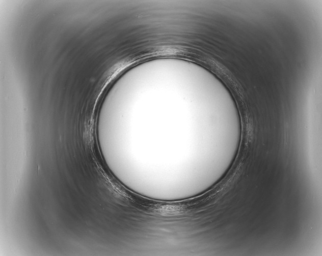 X0000103971178200810031218