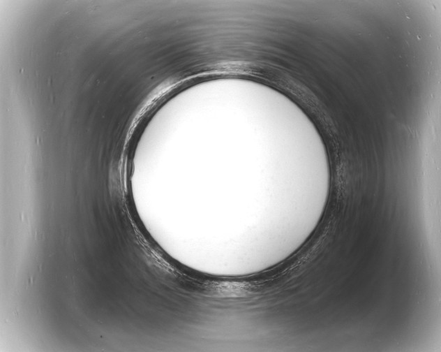 X0000103971180200810031218