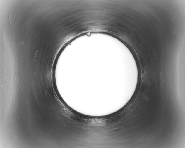 X0000103971181200810031218