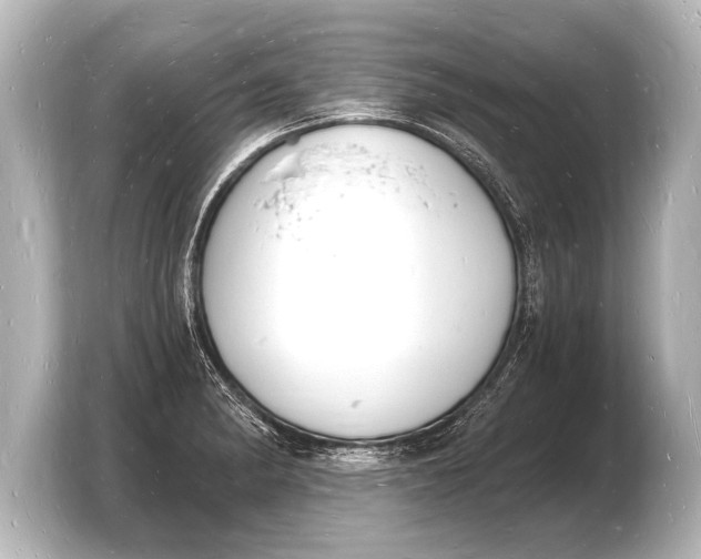 X0000103971182200810031218