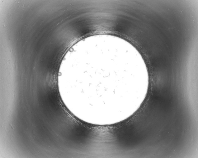 X0000103971185200810031218