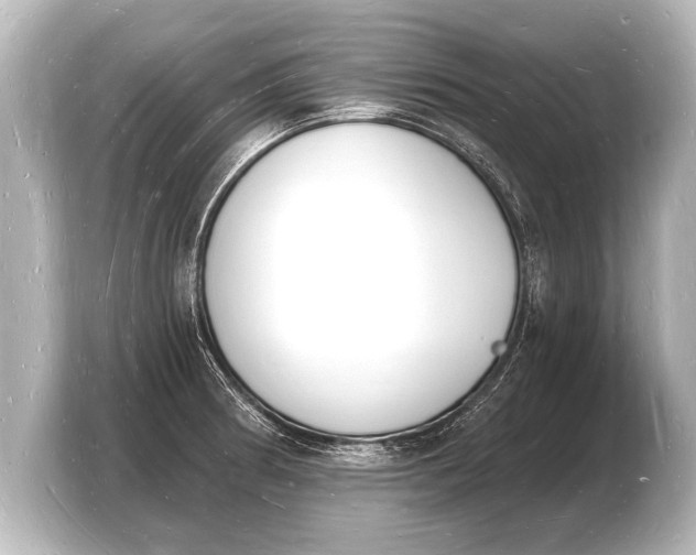 X0000103971186200810031218