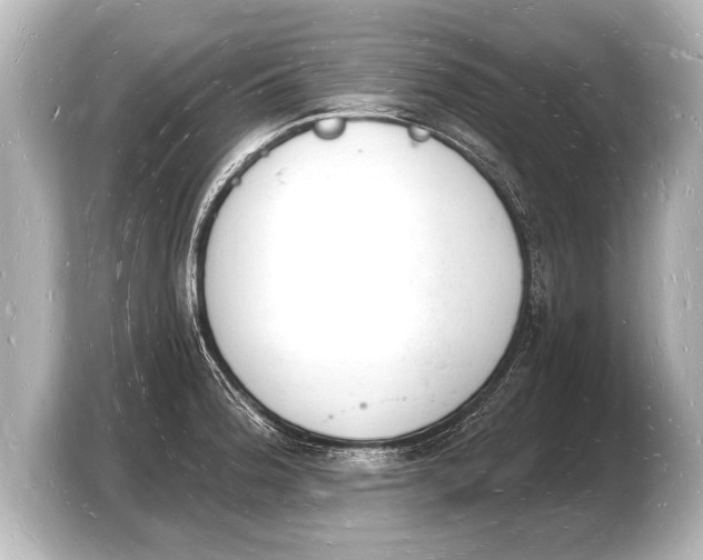 X0000103971188200810031218