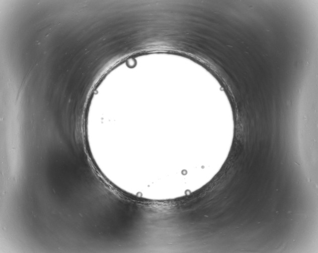 X0000103971191200810031218