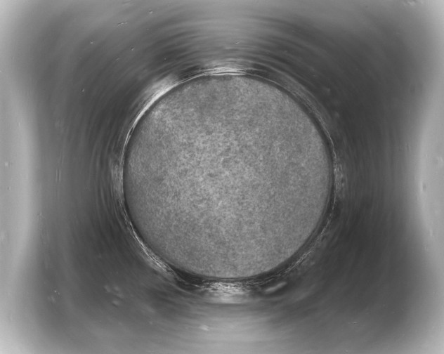 X0000103971194200810031218