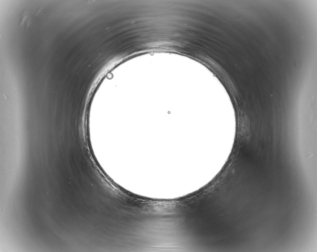 X0000103971196200810031218