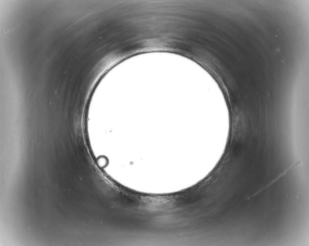 X0000103971197200810031218