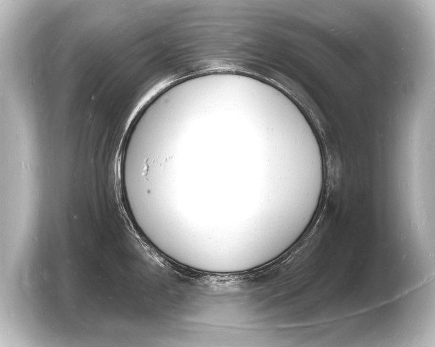 X0000103971198200810031218