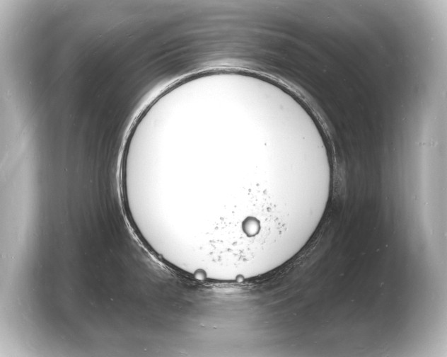 X0000103971199200810031218