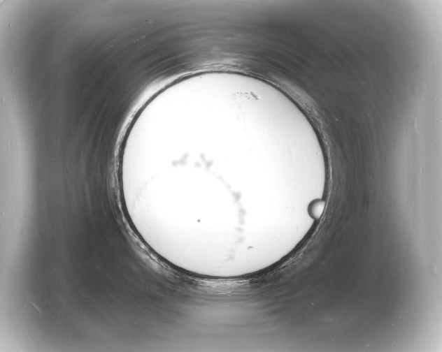 X0000103971200200810031218