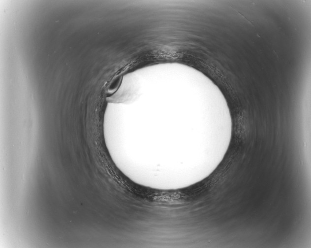 X0000103971201200810031217