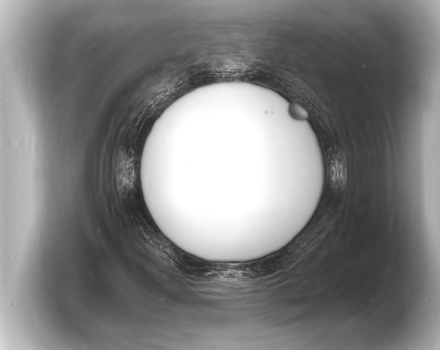 X0000103971204200810031217