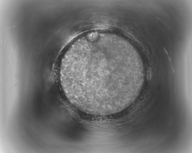 X0000103971208200810031217