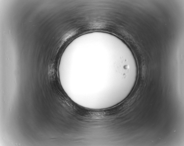 X0000103971210200810031217