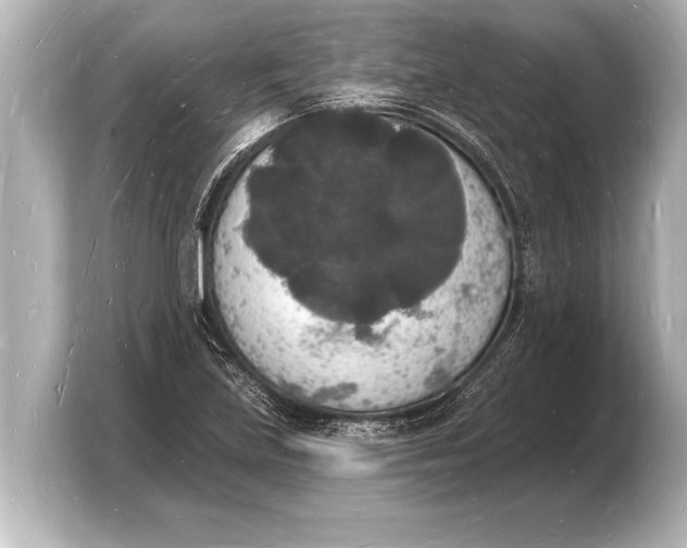 X0000103971219200810031217