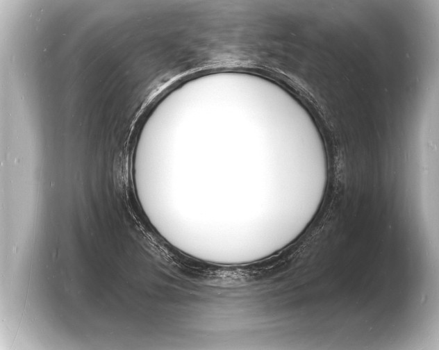 X0000103971220200810031218