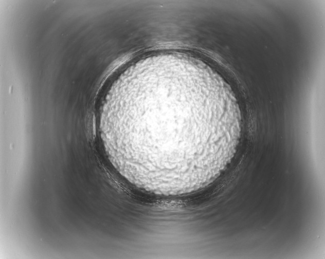 X0000103971221200810031218