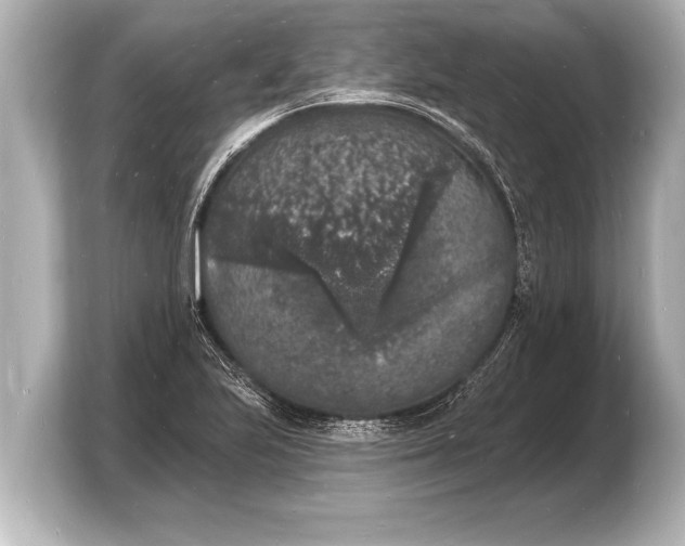 X0000103971223200810031218