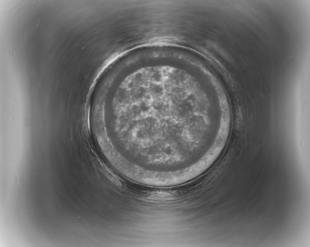 X0000103971224200810031218