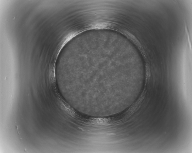 X0000103971226200810031218