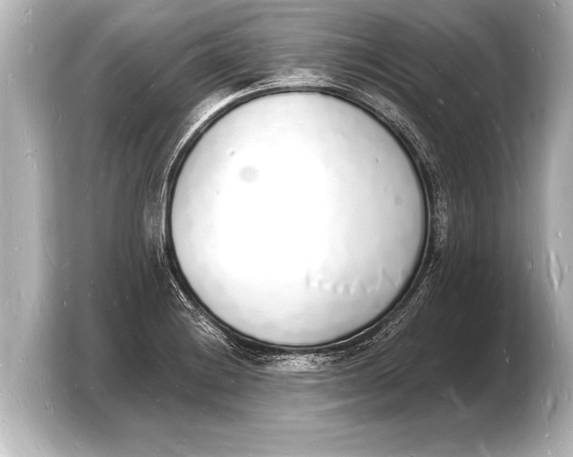 X0000103971228200810031218