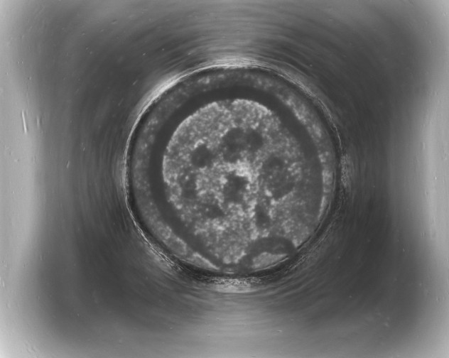 X0000103971229200810031218