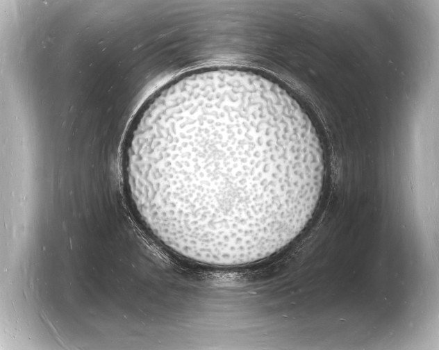 X0000103971230200810031218