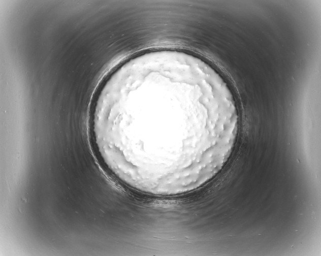 X0000103971237200810031218