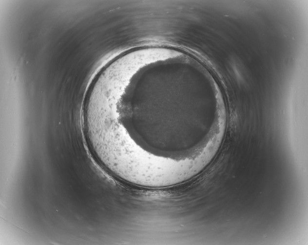 X0000103971239200810031218