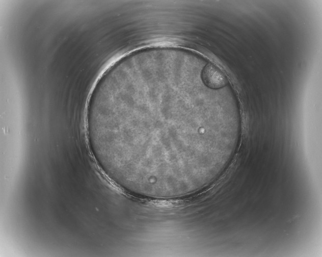 X0000103971240200810031218