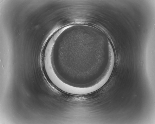 X0000103971243200810031218