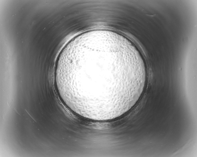 X0000103971244200810031218