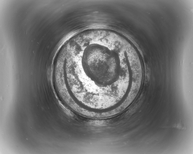 X0000103971245200810031218