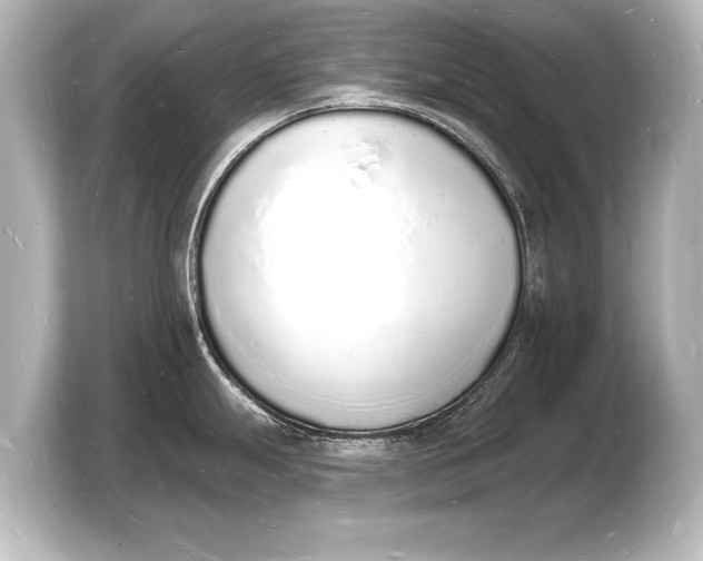 X0000103971247200810031218