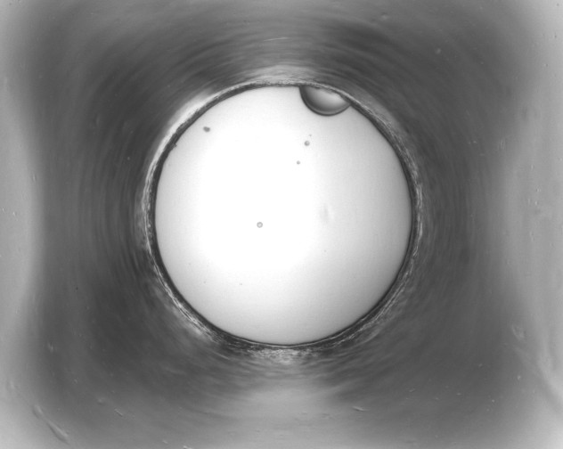 X0000103971248200810031218