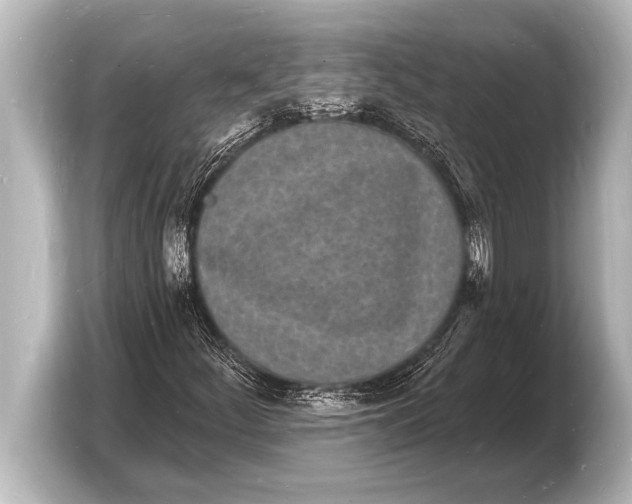 X0000103971252200810031217