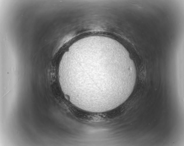 X0000103971255200810031217