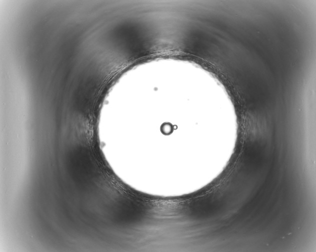 X0000103971257200810031217