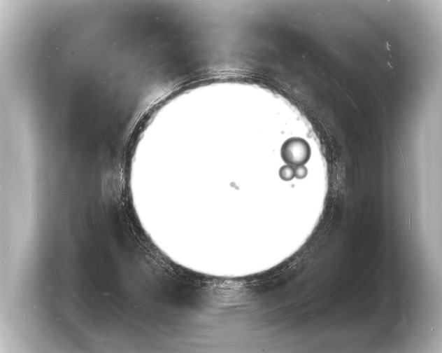 X0000103971261200810031217