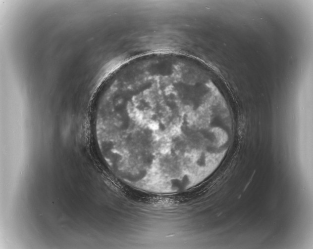 X0000103971263200810031217