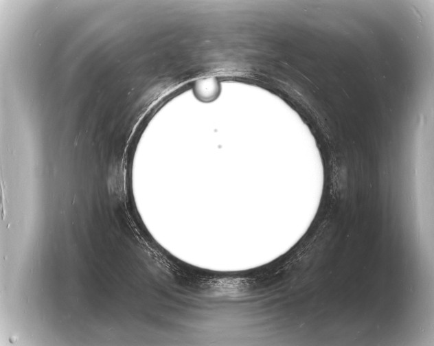 X0000103971268200810031217