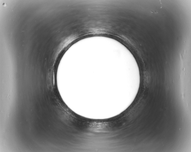 X0000103971269200810031217