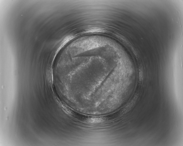 X0000103971274200810031217