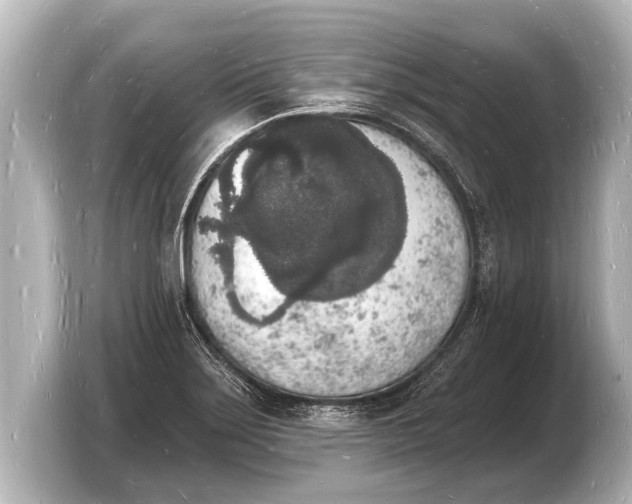 X0000103971275200810031217