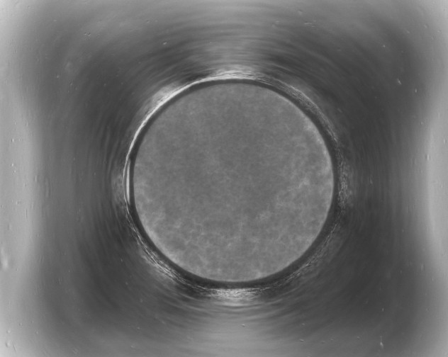 X0000103971276200810031217