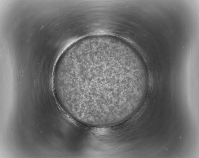 X0000103971278200810031217