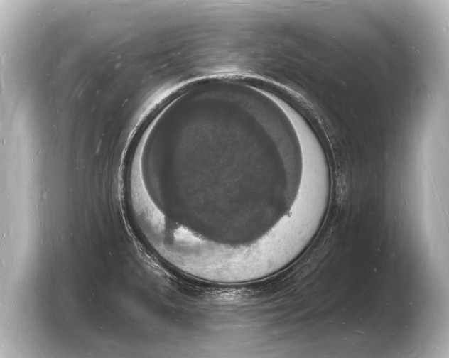 X0000103971279200810031217