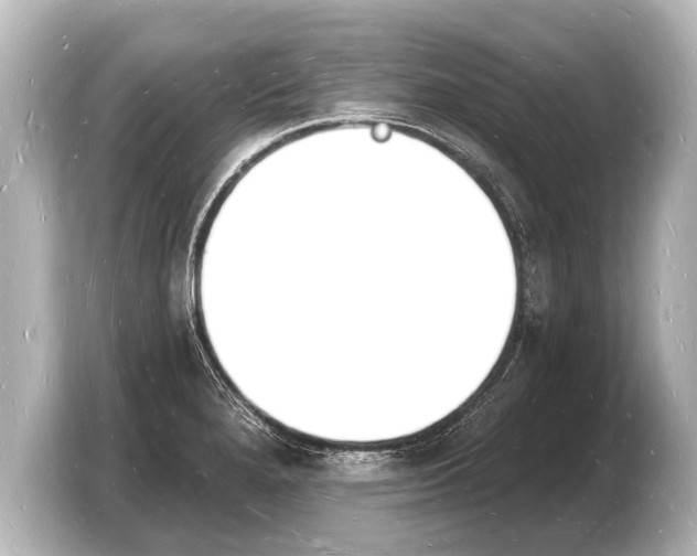 X0000103971280200810031217